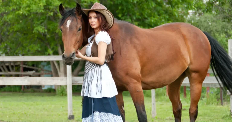 Quarter Horse Colors