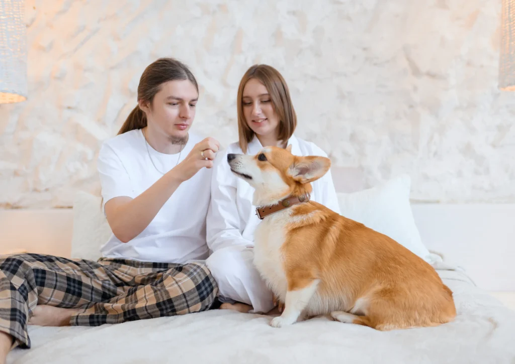 low energy dog breeds