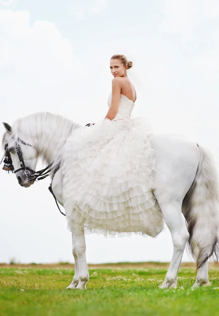 white friesian horse