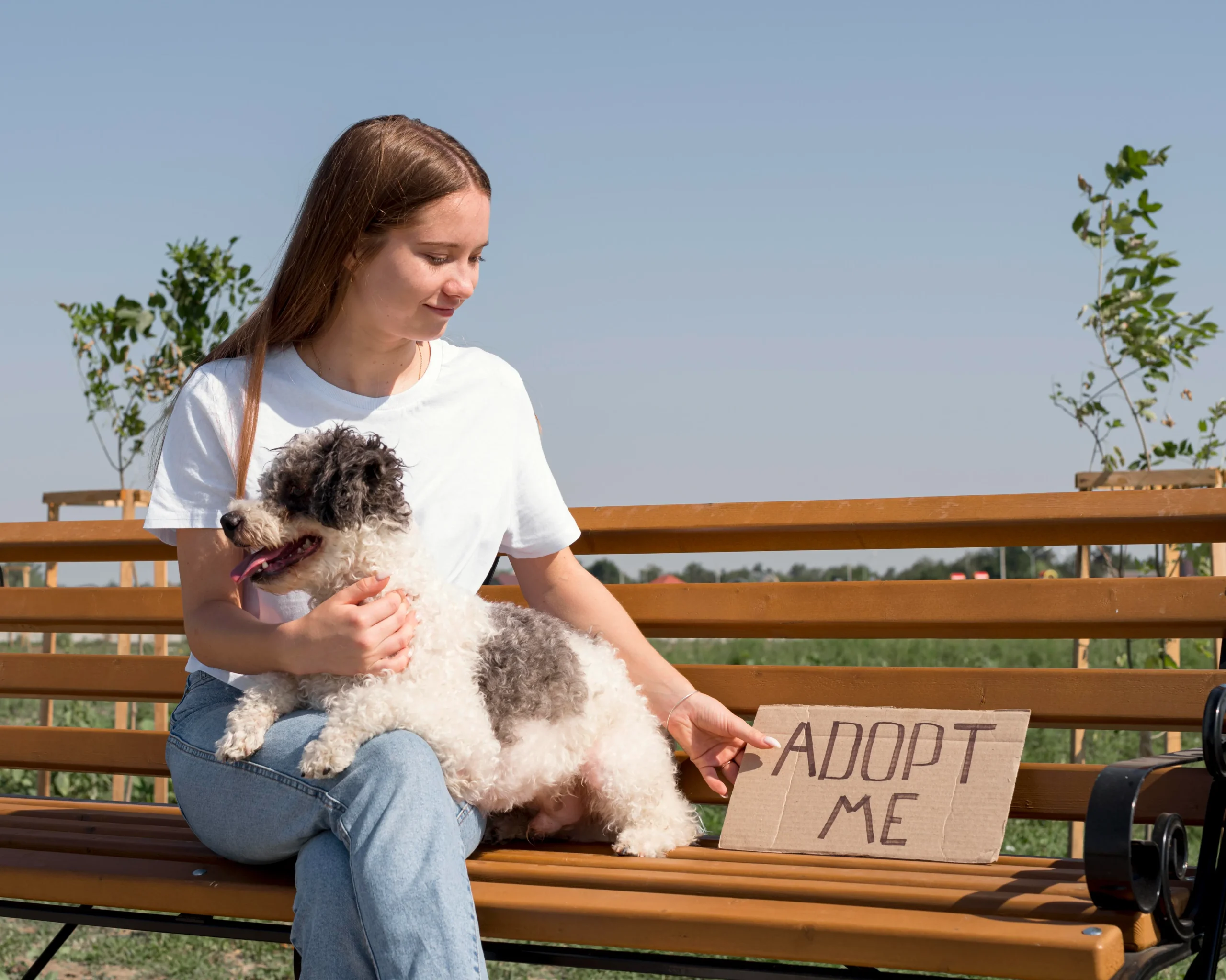 how much does it cost to adopt a dog