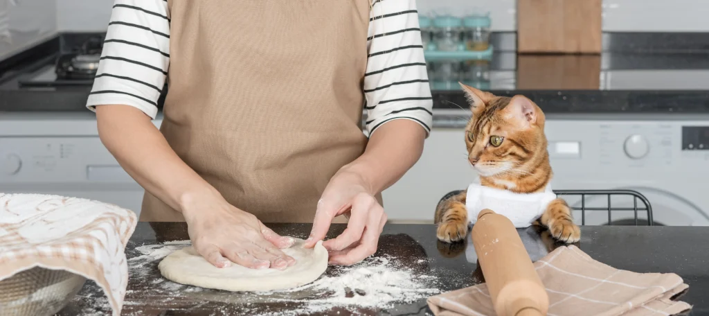 why do cats make biscuits