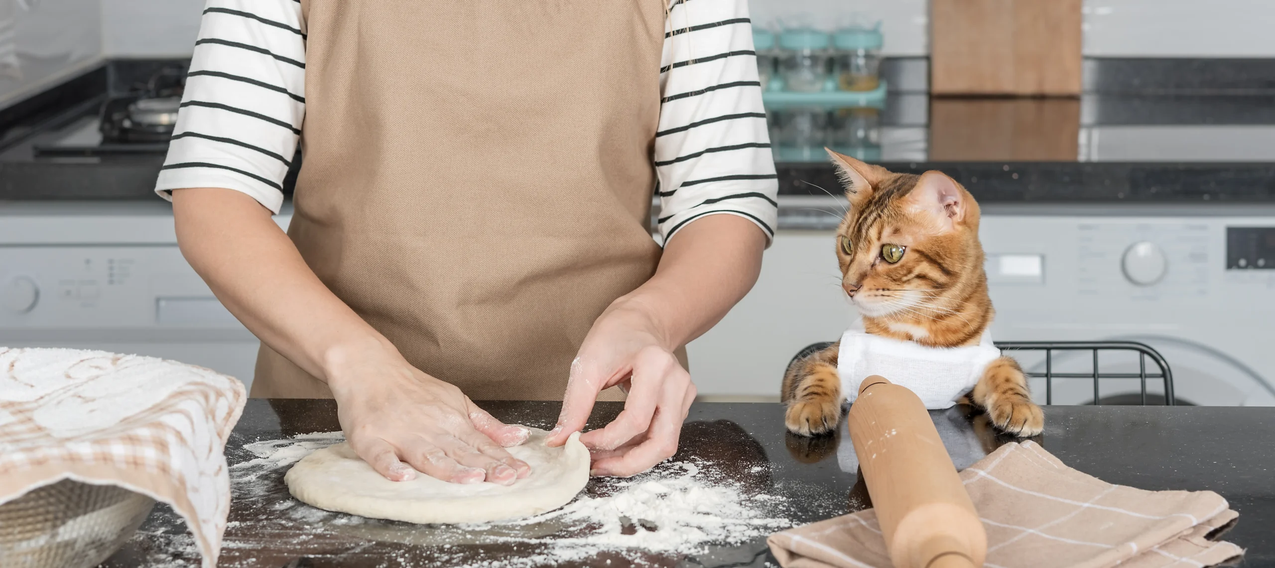why do cats make biscuits