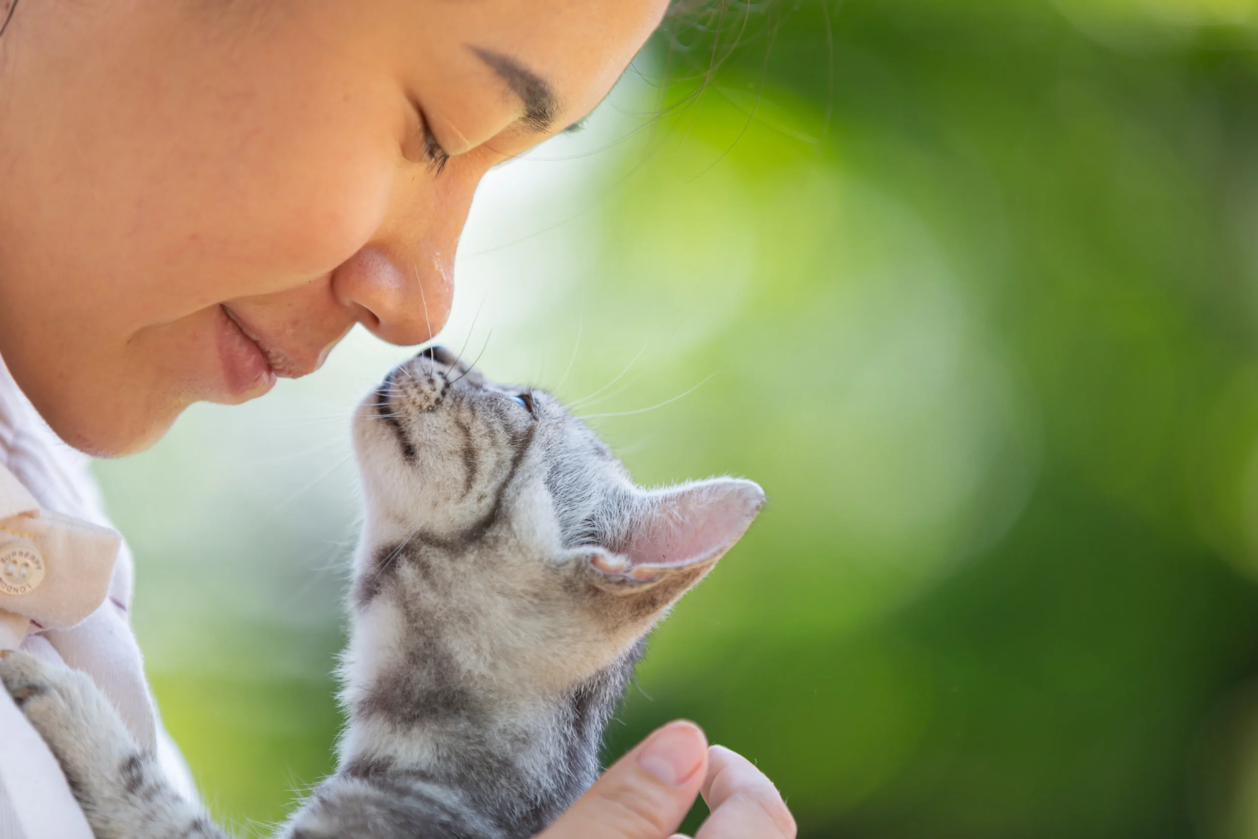 why cats lick you